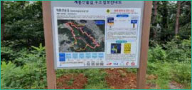 숲길 도로명 부여 예시