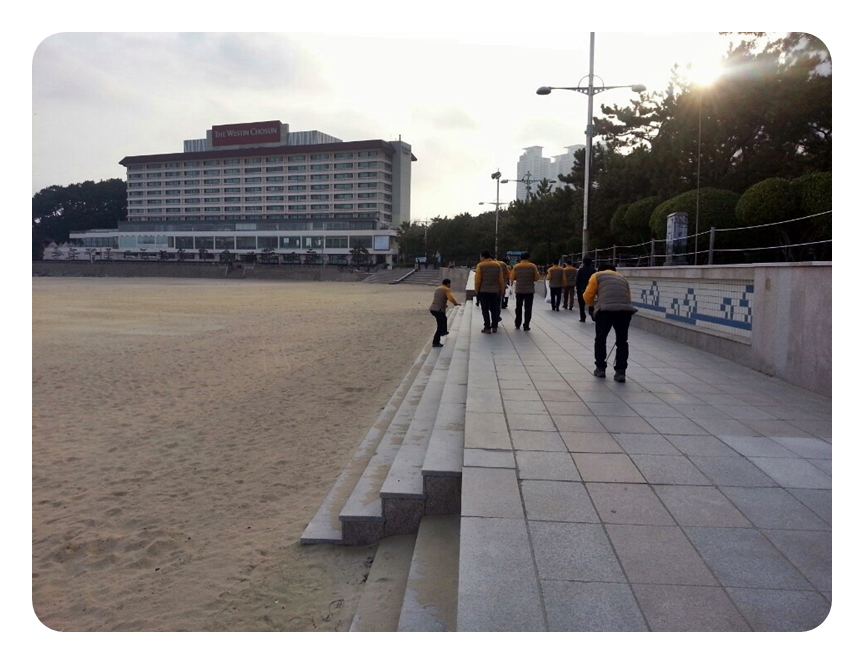 

	
		
		
			환경정화활동 중인 직원들
		
	
	