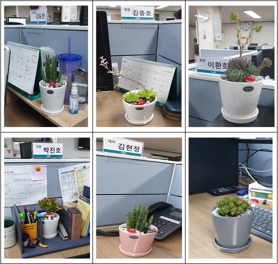 

	
		
			
				
					[LX서울지역본부] 꽃 화분 구매로 화훼농가 돕기 안내 이미지 입니다. 이 이미지에는 중요한 정보가 포함되어 있을 수 있습니다. 자세한 내용은 첨부파일이나 본문 내용을 참고해 주세요.
				
				
			
		
		
	
	