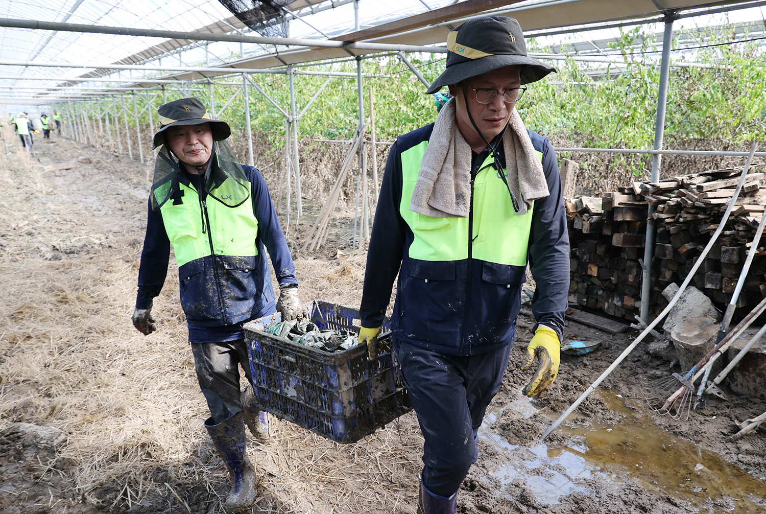

	
		
		
			LX한국국토정보공사 임직원들이 7월26일 익산시 용안면 일대 비닐하우스 등을 찾아 수해로 파손된 비닐하우스 내 폐기 농작물·자재 등을 수거하는 자원봉사를 했다.
		
	
	